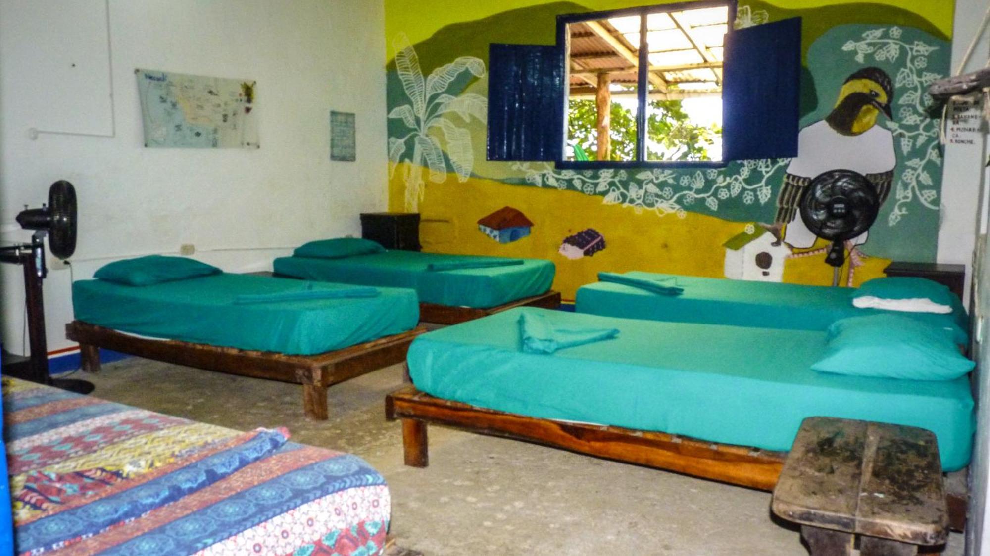 Hostal La Mariapolis Necoclí Εξωτερικό φωτογραφία